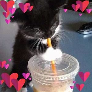 Meet your Posher, Mickey